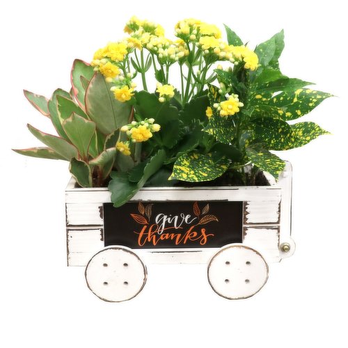 Planter - Rustic Metal Planter 8IN