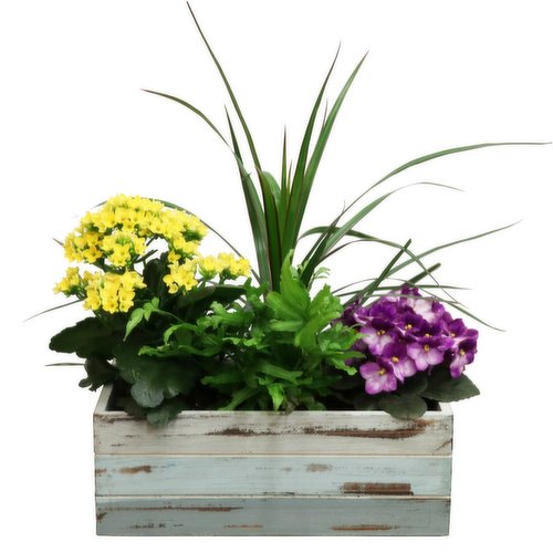 Beachwood - Planter, 12 In
