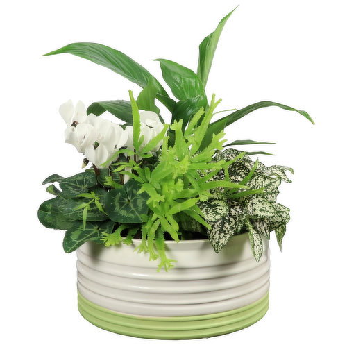 Planter - Green Bottom 8Inch