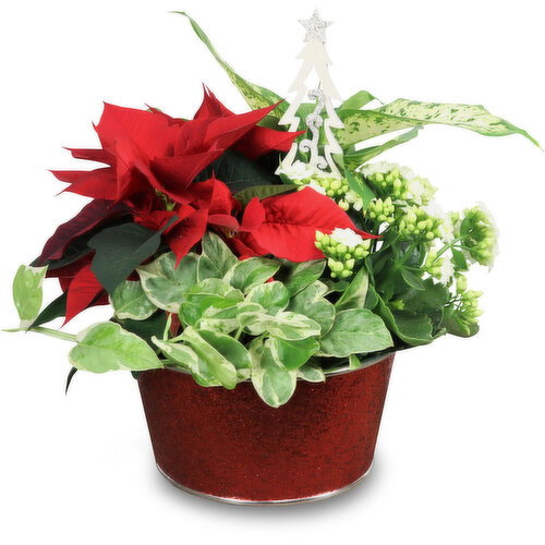Glitter - Planter 8In
