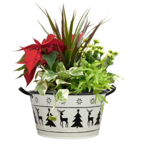 Planter - Deer and Tree Pot, 9 Inch