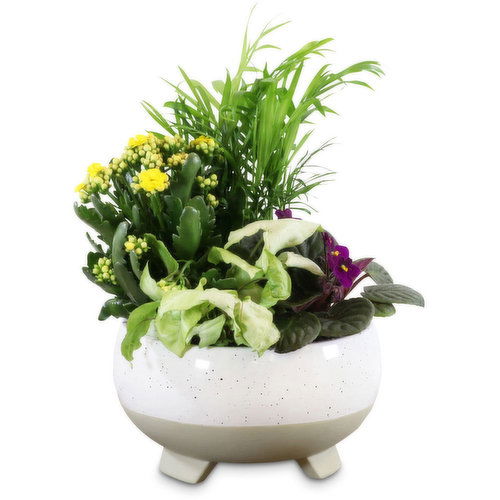 Two Tone - Ceramic Planter With Feet 8In