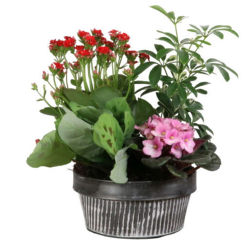 Planter - Vertical Lines Pot With Plants 8 Inch