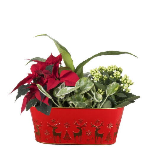 Reindeer - Reindeer Planter 11 Inch