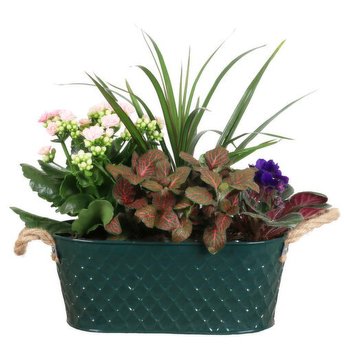 Save-On-Foods - Embossed Oval Planter 6x11