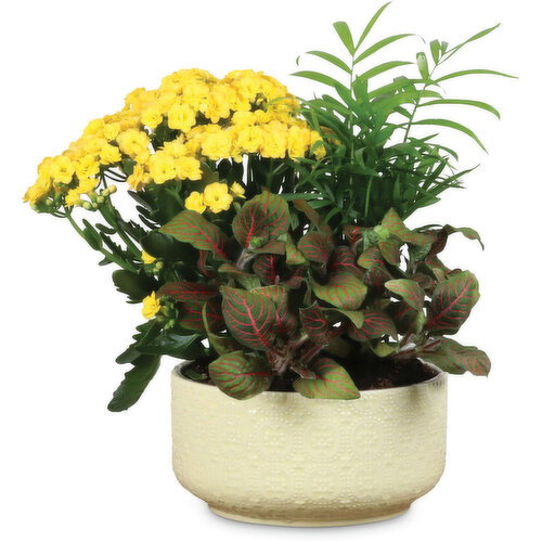 Planter - Gloss Embossed, 7 inch