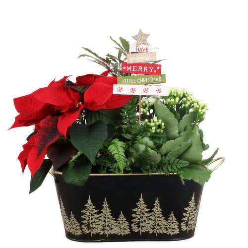 Save-On-Foods - Gold Tree Planter, 6 x 11 Inch