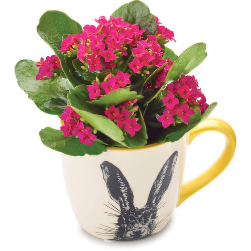 Bunny - Ceramic Mug 2.5in