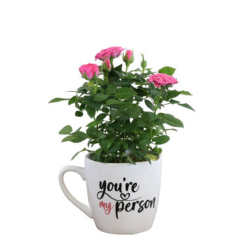 Potted Plants - My Person Mug 4 Inch