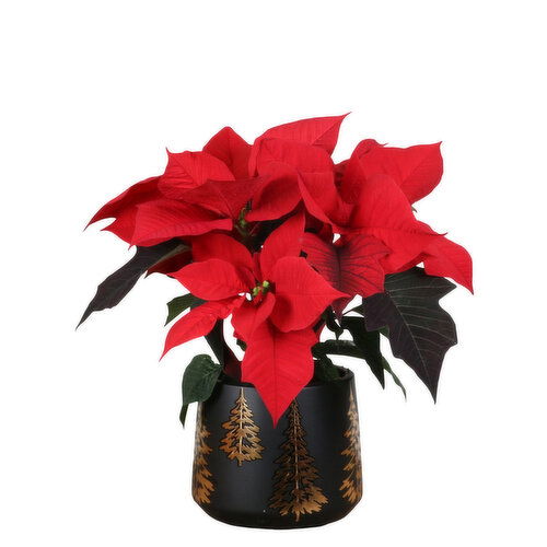 Poinsettia - Gold Tree Pot, 4 Inch