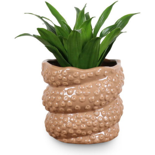 Tropical - With Octopus Tentacle Pot, 4 Inch
