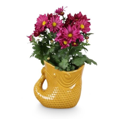 Save-On-Foods - Ceramic Fish Pot, 4 Inch