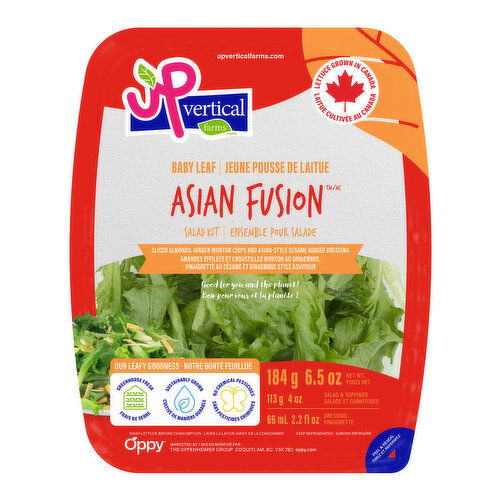 Up Vertical - Asian Fusion Salad Kit