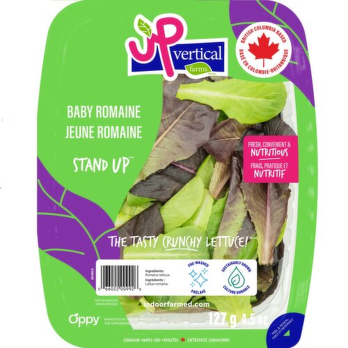 Up Vertical Farms - Stand Up Baby Romaine Salad