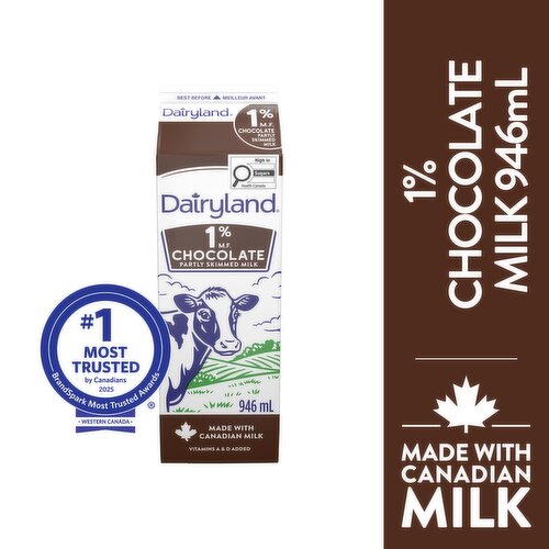 Dairyland - 1% Chocolate Milk