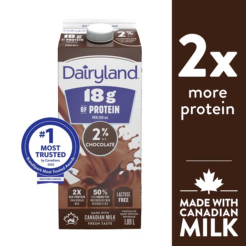 Dairyland - Chocolate Protein Milk 2%