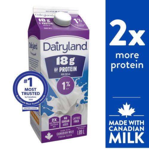 Dairyland - Protein Beverage 1% M.F.