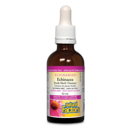 Natural Factors - Echinamide Anti Cold Alcohol Free Tincture Berry