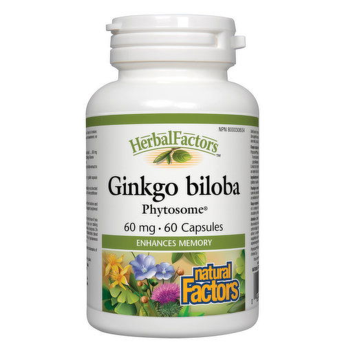 Natural Factors - Ginkgo Phytosome