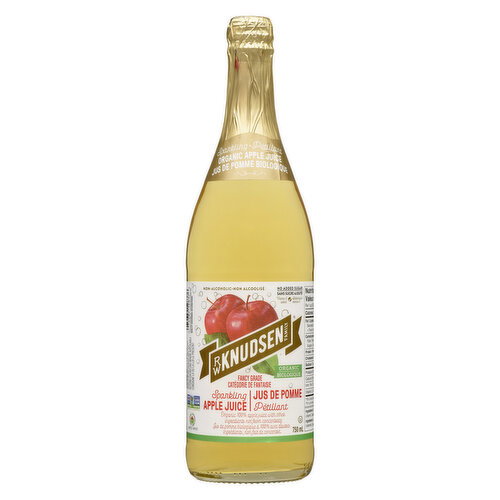 R.W. Knudsen - Sparkling Organic Apple Juice