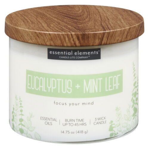 Candle-Lite - Candle it Eucalyptus & Mint Leaf Jr 14.