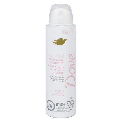 Dove - Whole Body Cooling Deodorant Dry Spray, Raspberry + Rose Scent