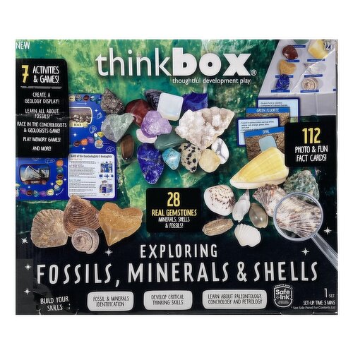 Thinkbox - XN Exploring Fossils, Minerals & Shells