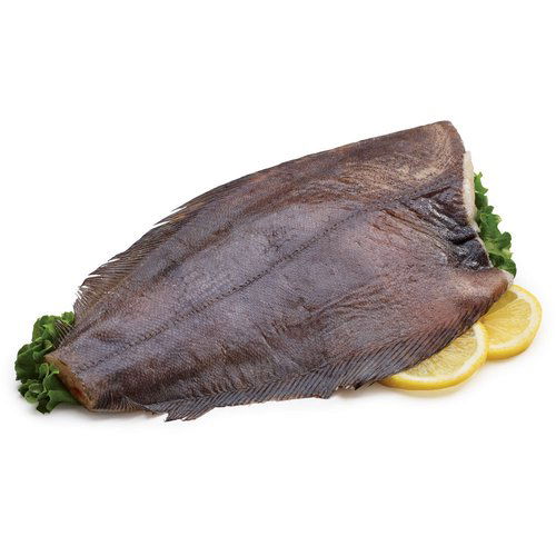 Frozen Turbot - Greenland Halibut 500/1000