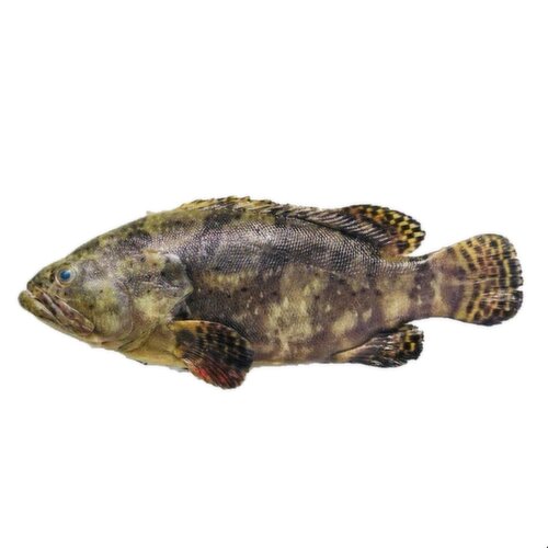 PriceSmart Foods - Frozen Tiger Grouper