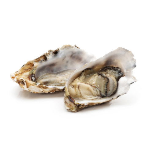 Oysters - Regular 8oz Tub