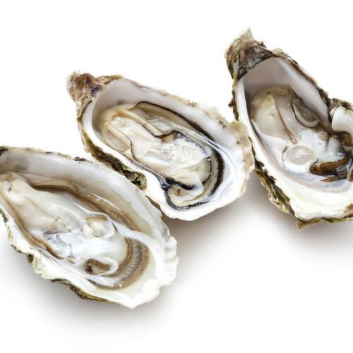 Quality Foods - Oysters Medium Beach Run Single