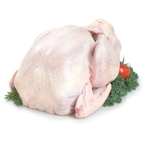 Quality Foods - Turkey Frozen Q Bird