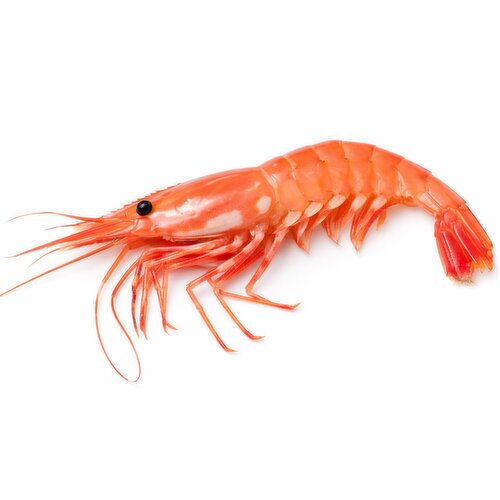 Fresh - Spot Prawn