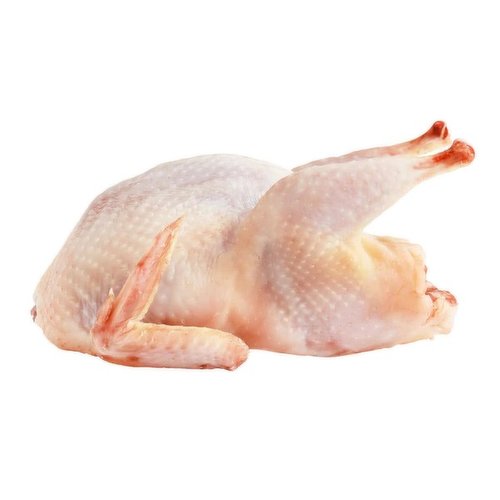 Fresh - Pheasant