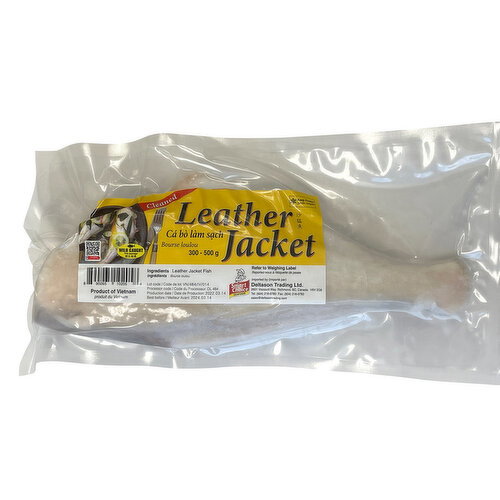 Smart Choice - Frozen Leather Jacket 300/500