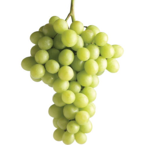 Grapes - Autumn Crisp, Seedless