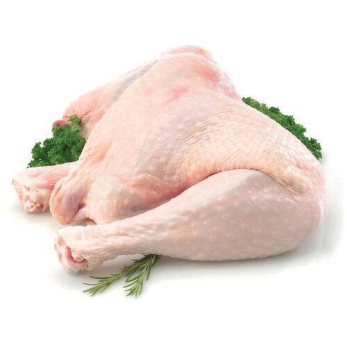 Save-On-Foods - Fresh Turkey Hind Quarter