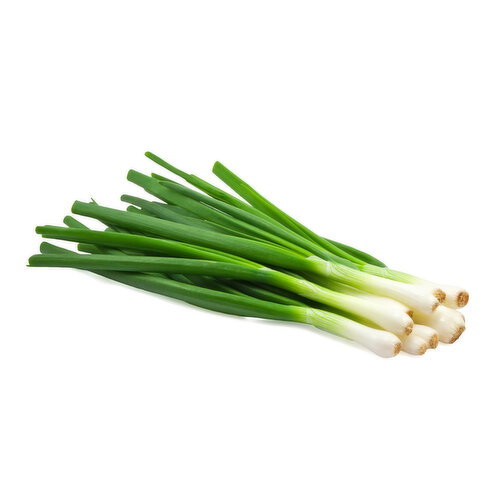 Green Onion - Chinese, Fresh