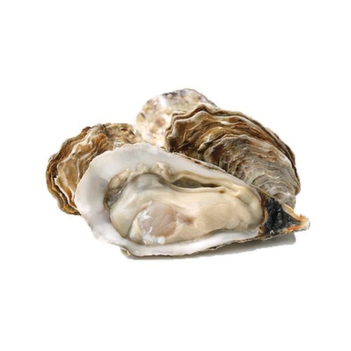 Save-On-Foods - O/W Live Shell Oyster Extra Large