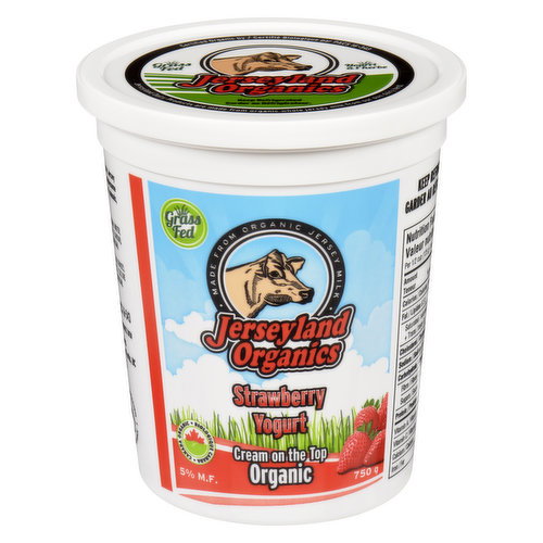 Jerseyland Organics - Yogurt - Strawberry