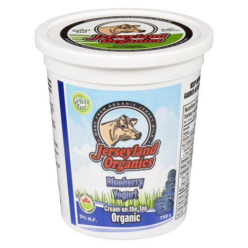 Jerseyland Organics - Yogurt - Blueberry