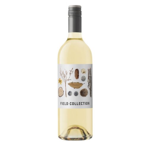 Arrowleaf - Field Collection White