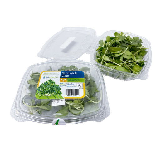 Sky Harvest - Sprouts Sunflower Organic