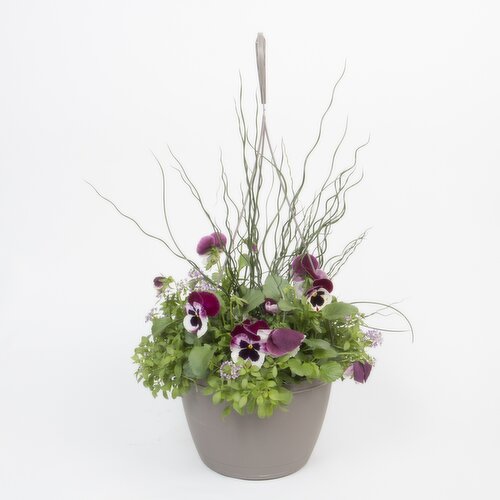 Potted Plants - Early Season Basket 10 In