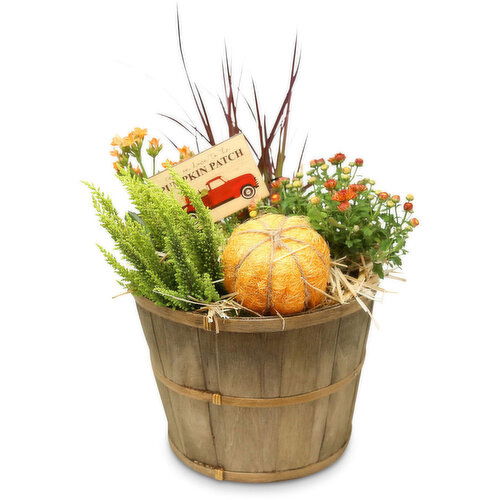 Autum Harvest - Bushel Planter, Assorted