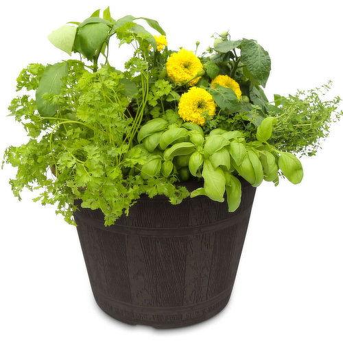 Edible - Planter