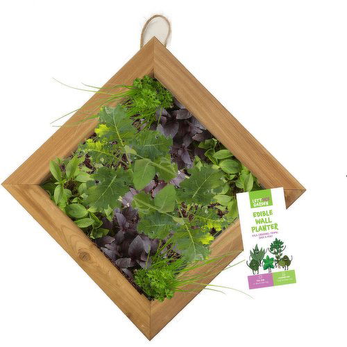 Lettuce Garden - 16 Inch Edible Wall Planter