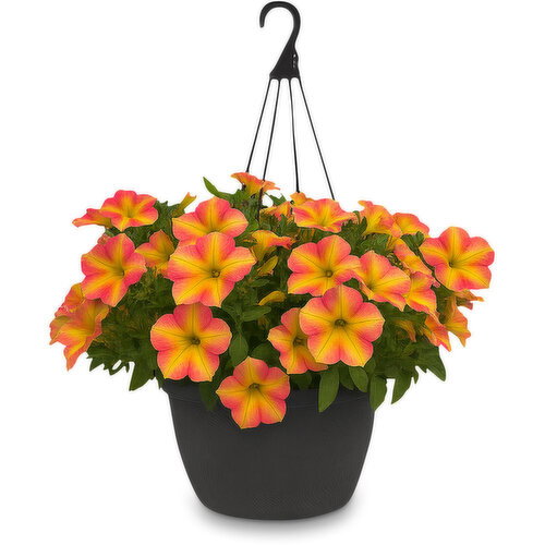 Pink Flamingo - Exclusive Solid Basket, 11 Inch