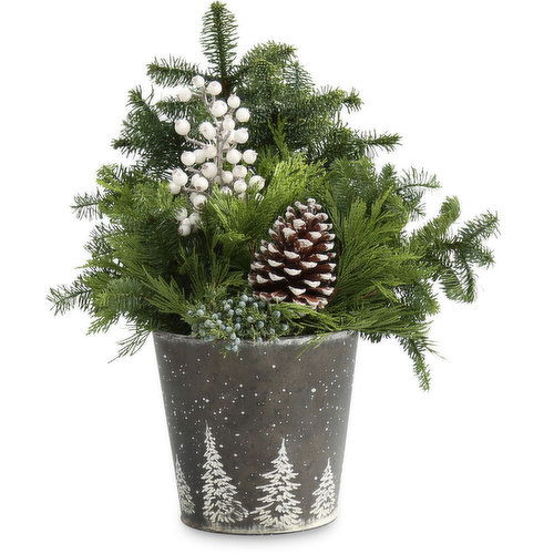 Greenery Planter - Seasonal 9 Inch, Assorted