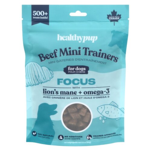 Healthy Pup - Mini Trainers Beef